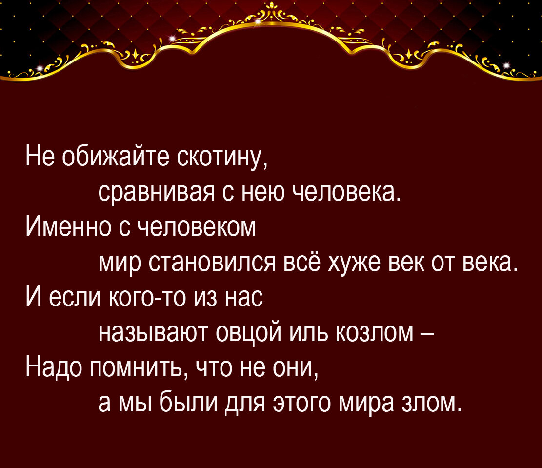 Стихи автора канала. Подборка 15 | Zа Россию и СВОих Аристарх Барвихин |  Дзен