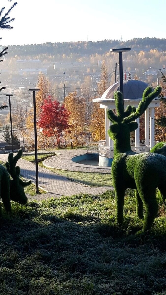 Фото знакомой