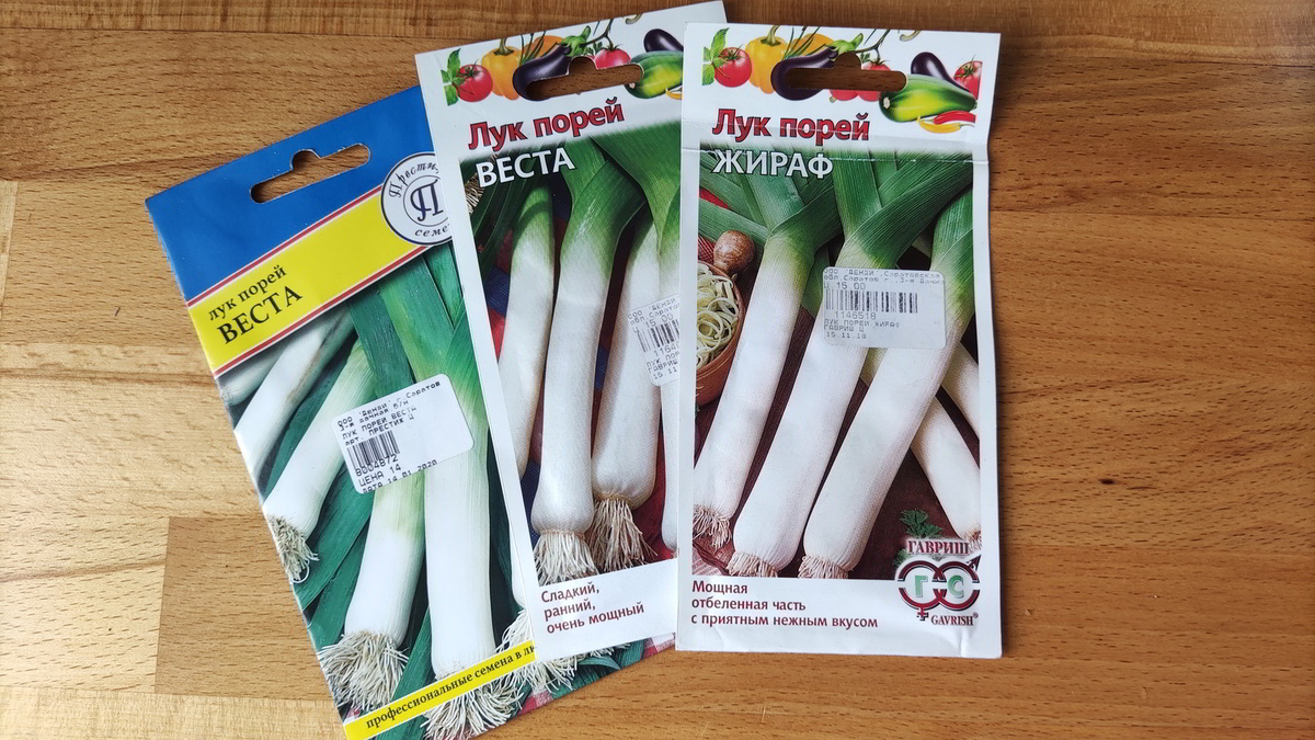 Семена лука порея.