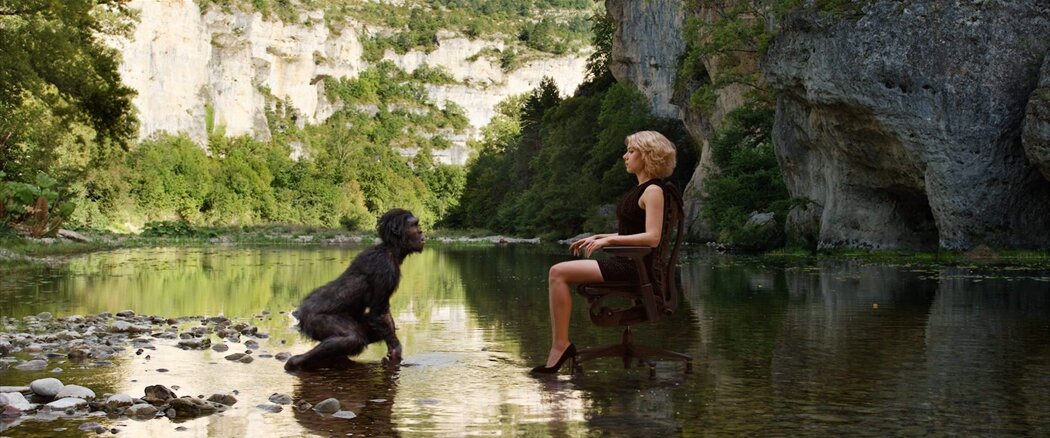 Кадр из фильма «Люси»  / Источник Яндекс.Картинки