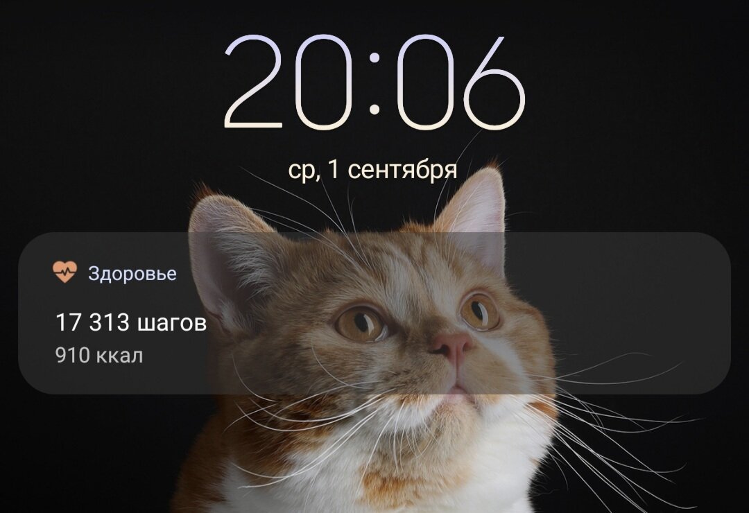 Шаги