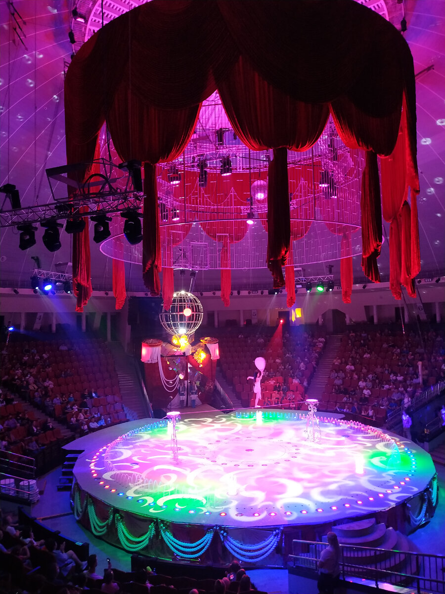 В этом году в Саратове произошло важное, долгожданное событие, после четырехлетнего перерыва снова открылся цирк!-27