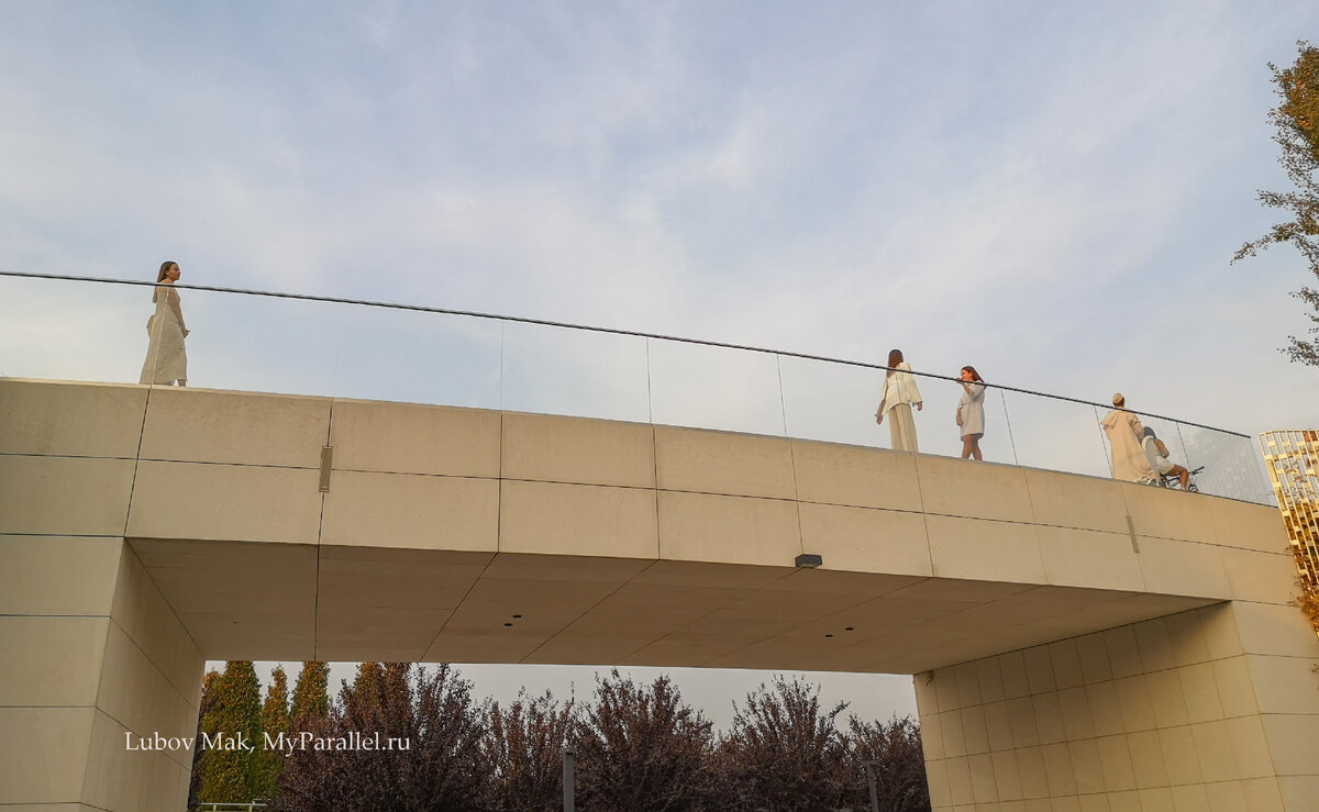 Два холма где снимался. Два холма где снимался. Сцена в парке галицкого. Парк хоббитон в новой зеландии. Новая зеландия хоббитон.