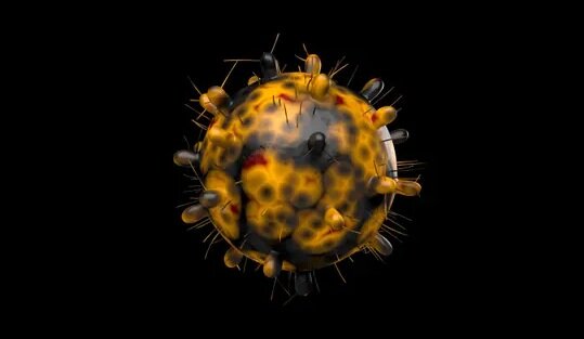 Вариант COVID B.1.1.529 (Omicron). Фото с сайта theguardian.com