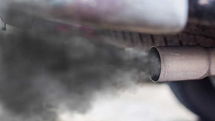 ФОТО: ODY_STOCKER / SHUTTERSTOCK.COM 