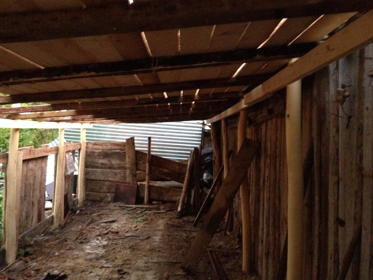 фото уже в процессе восстановления 