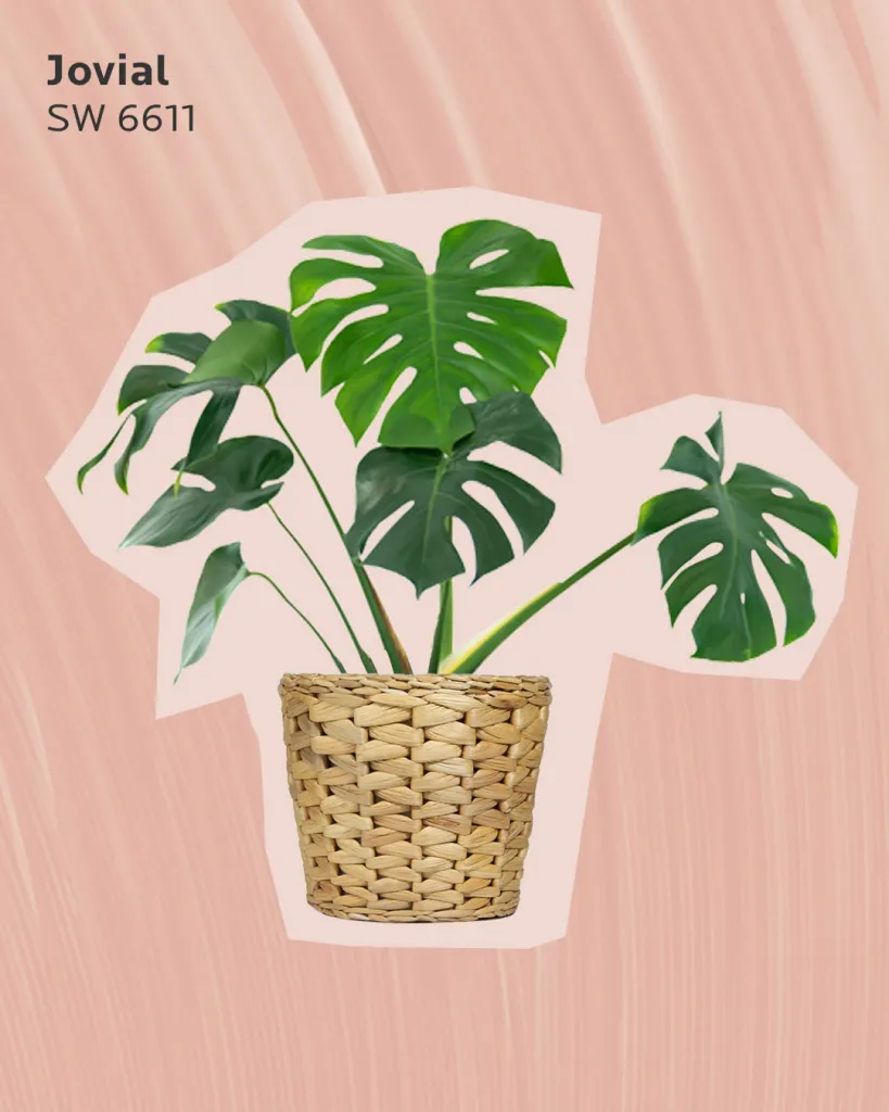 Рекомендуемый цвет: SW 6611 Jovial 