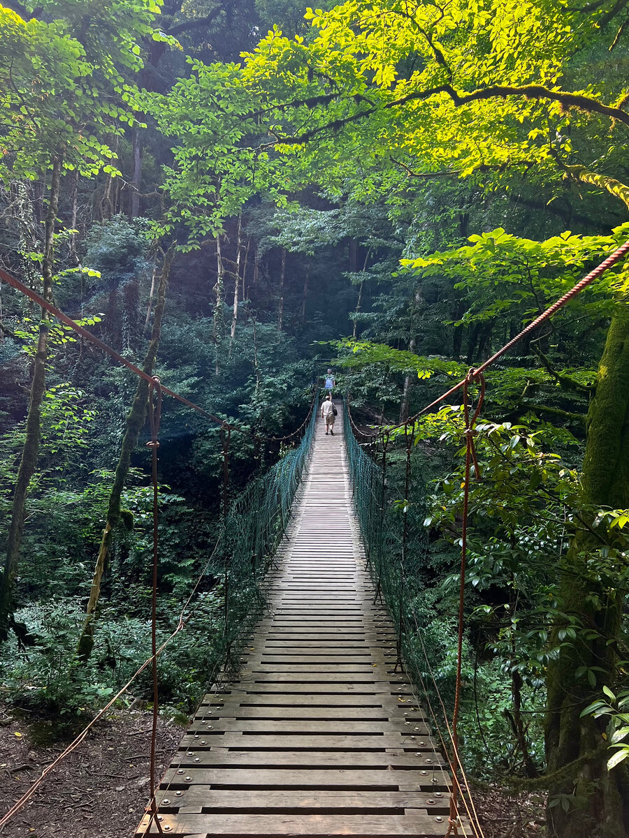 Подвесной мост над ущельем