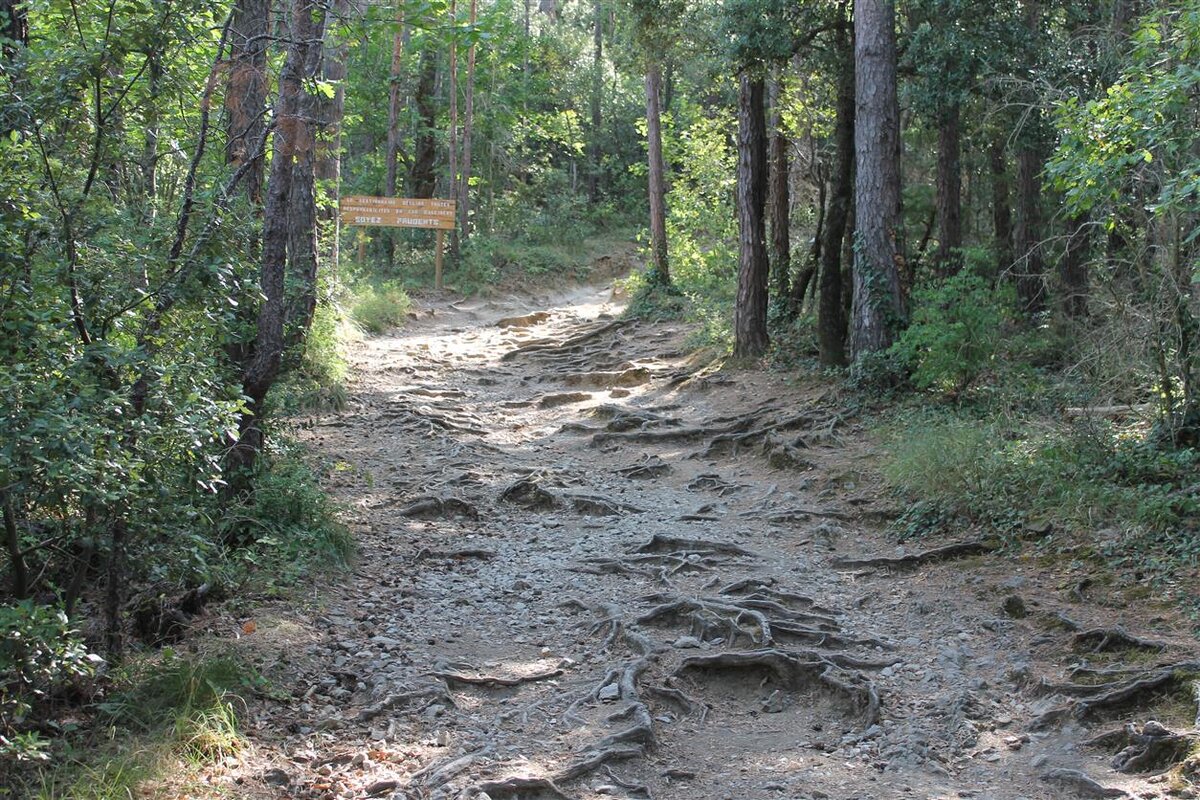 Фото автора.