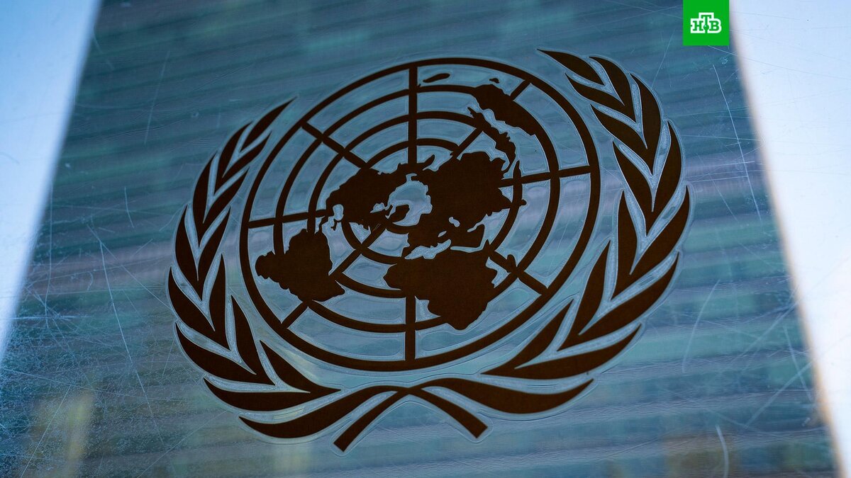    Фото: Associated Press © 2022, John Minchillo