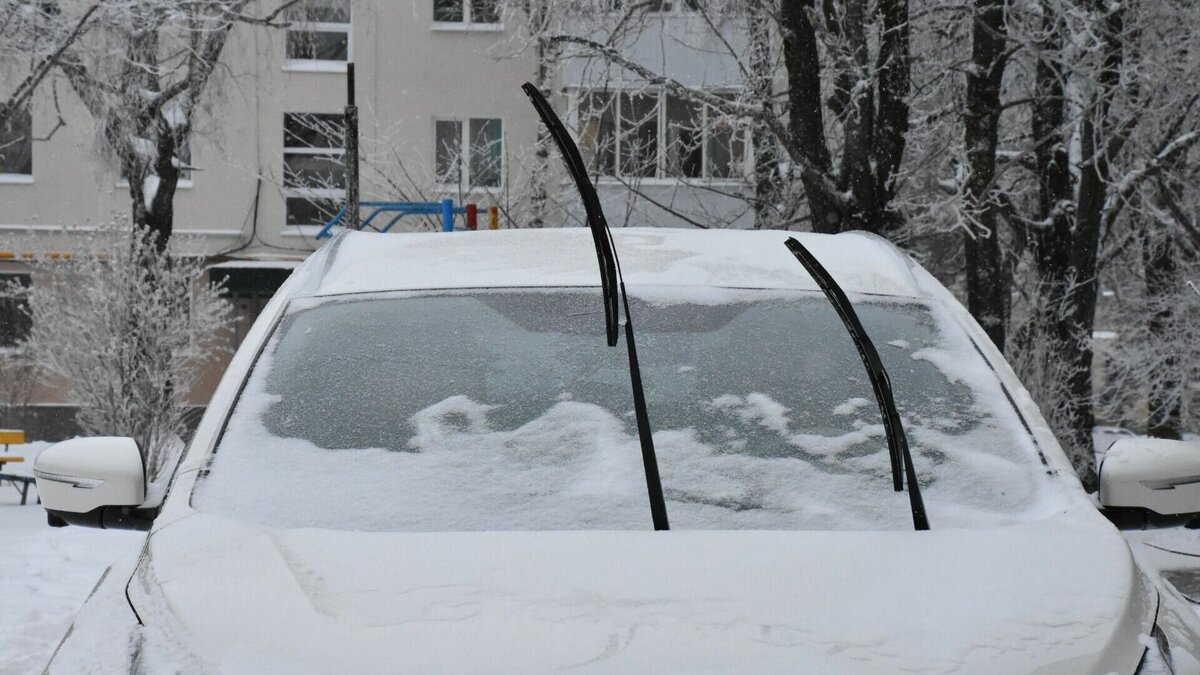     В ГИБДД Ставрополья попросили водителей большегрузов отложить поездки из-за снега. В Кисловодске пользуется популярностью штрафстоянка для бесхозных животных. Стало известно, кто стоит за вырубкой леса в Невинномысске. NewsTracker представляет обзор информационной картины дня 8 февраля.