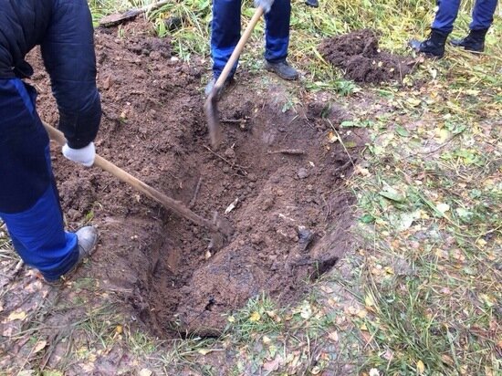 Место, где подозреваемые закопали убитую женщину (оперативная съемка). 