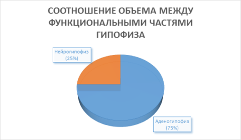  Диаграмма 1