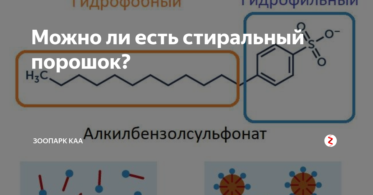 Что будет если есть стиральный порошок