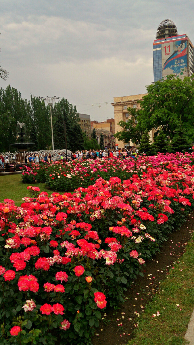 Донецк город миллиона роз