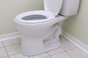 фотография из https://pixabay.com/ru/