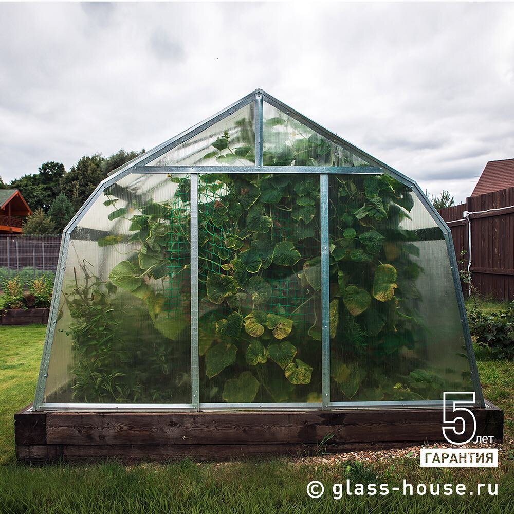 Теплица «БЕРЕЗКА»