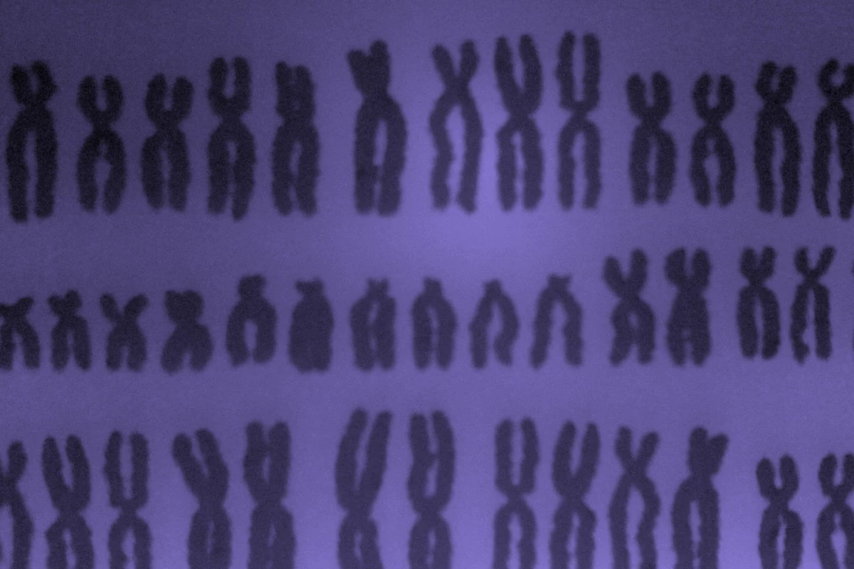 23 хромосомы у человека в клетках. Хромосомы. Хромосомы человека для фона. Хромосомы здорового человека. Веселая картина хромосом человека.