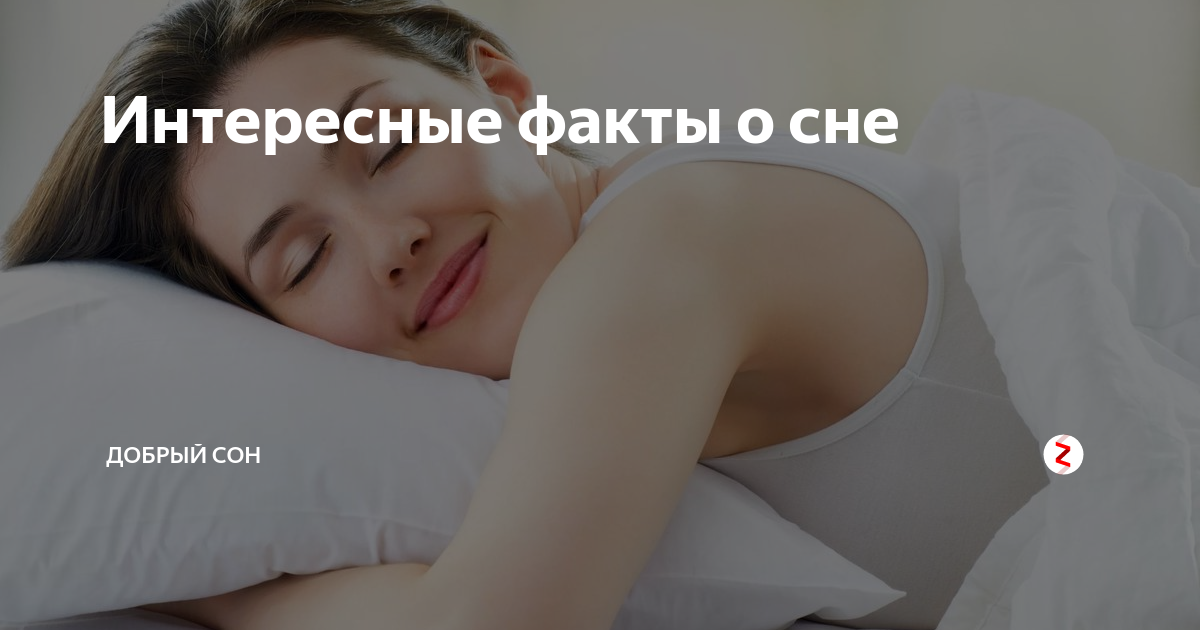 после сна и перед сном. сон без храпа. здоровый сон. спящий человек ночью. почему сон добрый.