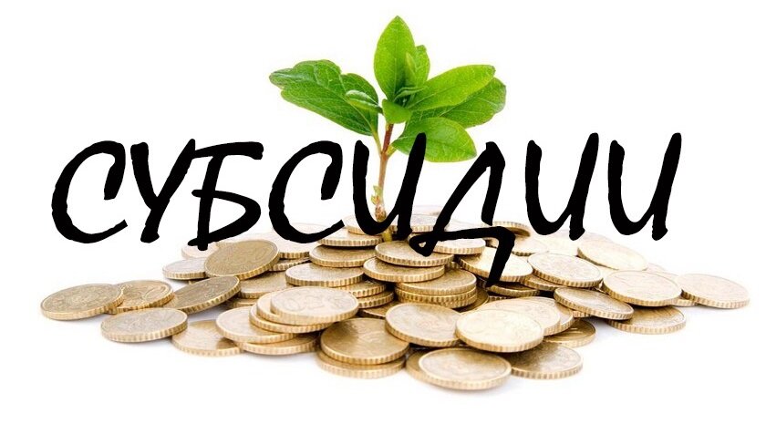 как получить субсидию на ипотеку, и какую?