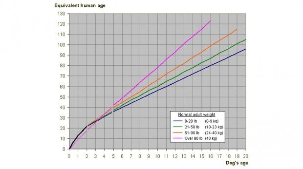 Ось Y - человеческий возраст, ось X - собачий. На табличке -- нормальный вес для пса. (фунты и килограммы).