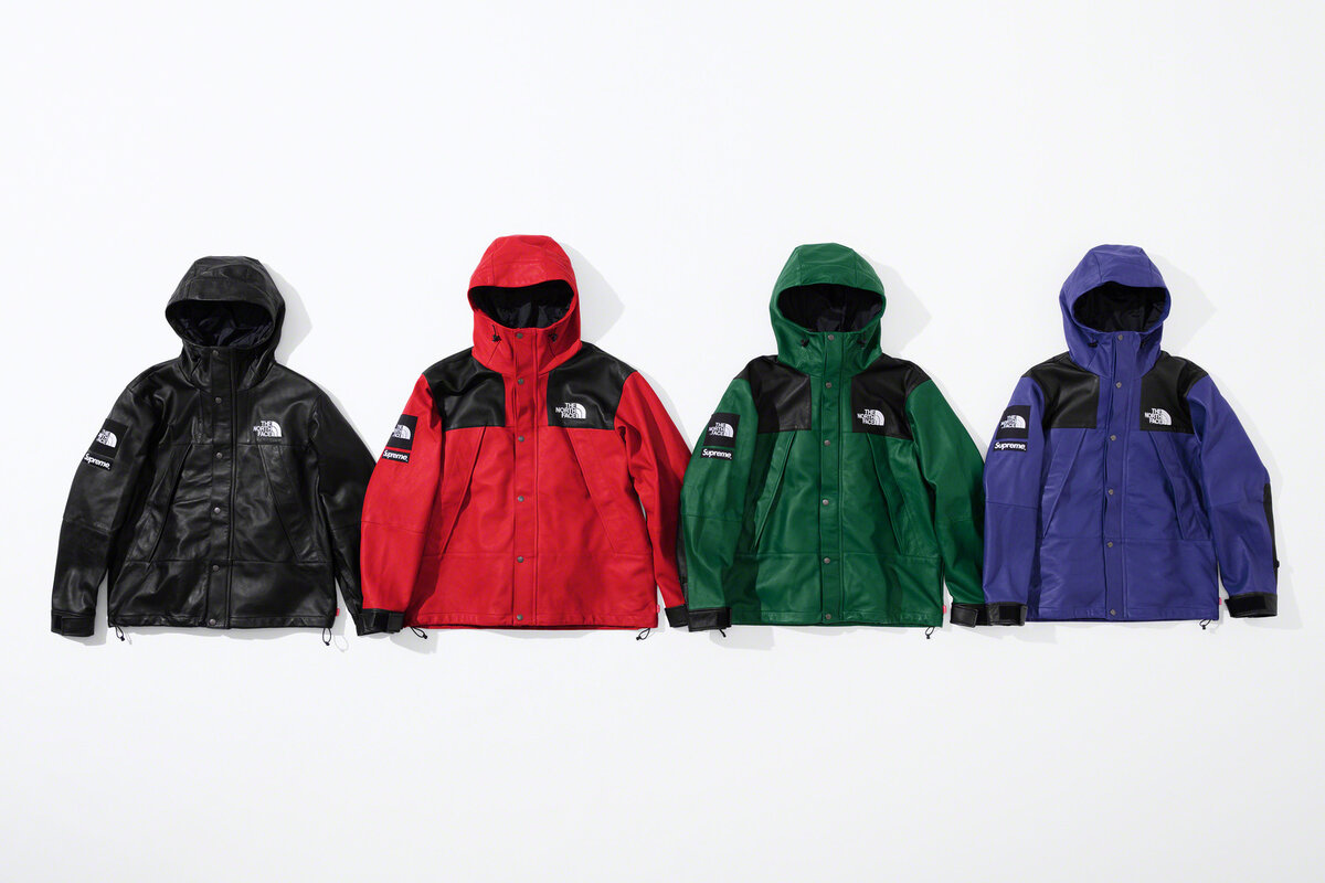 The north face shop x supreme 2018