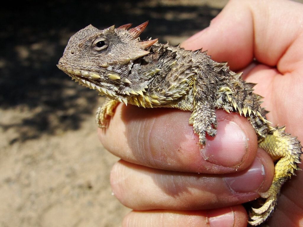 Когда ты в панике, но не подаешь виду
