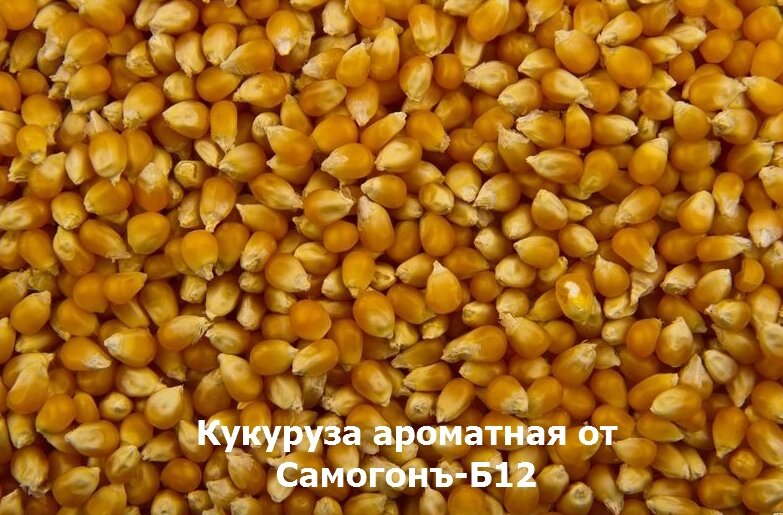 Целое зерно кукурузы – основа для приготовления Сибирского Бурбона.