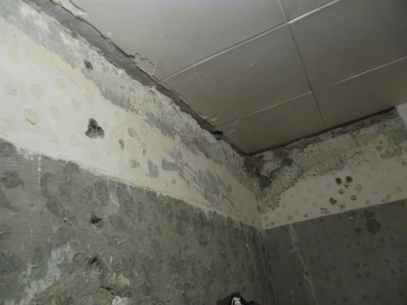 грунтуем, промеряем стены на предмет вертикальности, , проходим бетонконтактом, заделываем глубокие дыры и трещины, снова грунтуем.