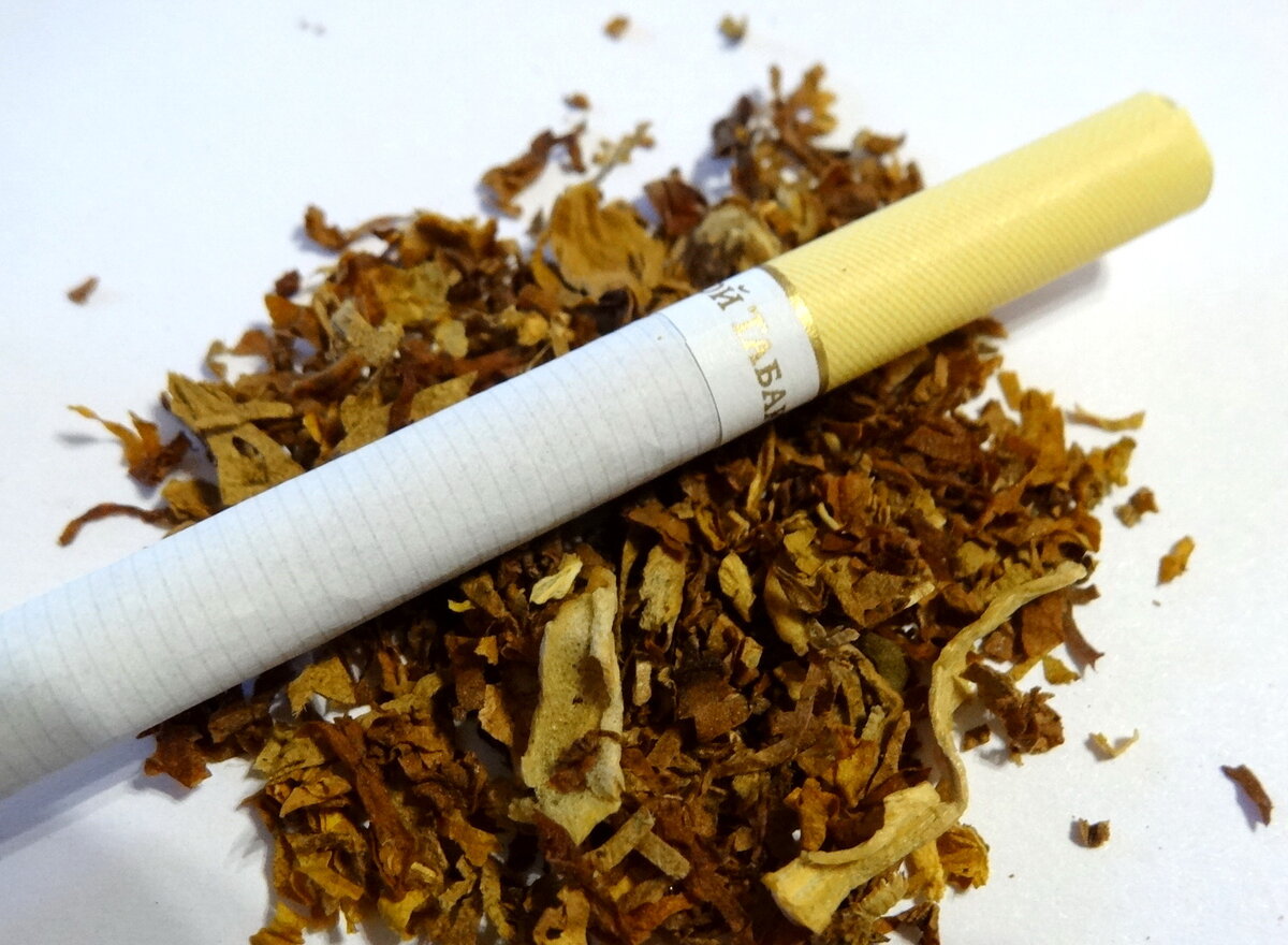 Самокрутки табак сигареты. Донской табак темный. Jent табак. Донской табак сигареты. Сигареты Донской табак светлый.