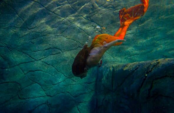 Фото: gettyimages.com