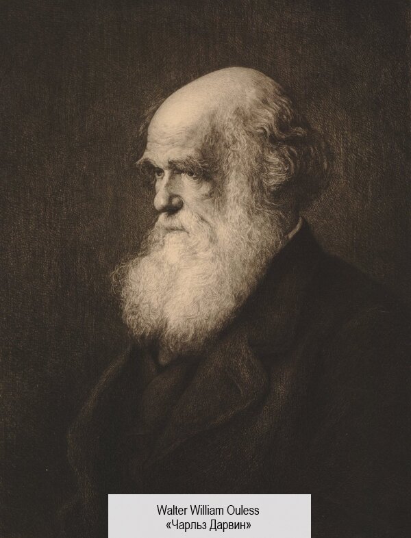 Ч дарвин годы. Открытие Чарльза Дарвина в 1859.