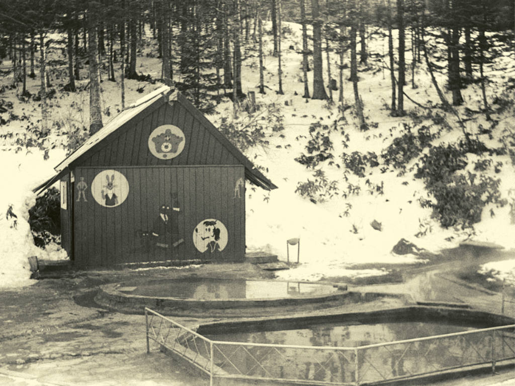 Фото 80-х, домик для переодевания на ванночках.