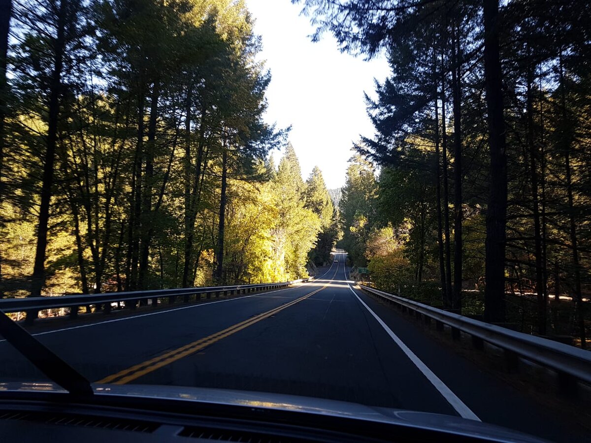 Обычная американская дорога через леса, которыми покрыты почти весь штат.