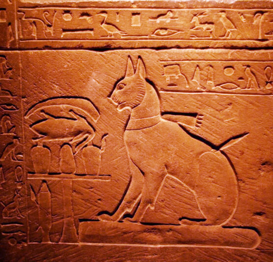 Кошек в Древнем Египте обозначали иероглифами "Минт" (кот) и "Миу" (кошка). Кстати, "миу" называли и хороших послушных девочек. 