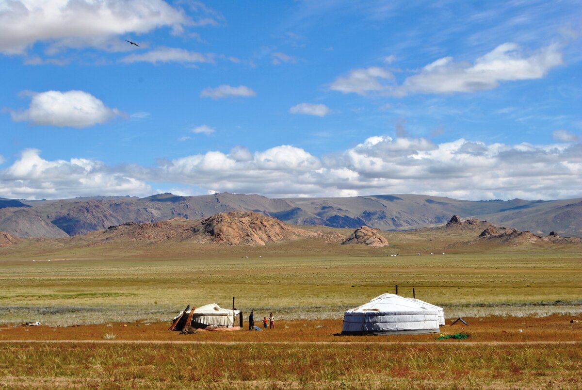 Mongolia Tatlisi