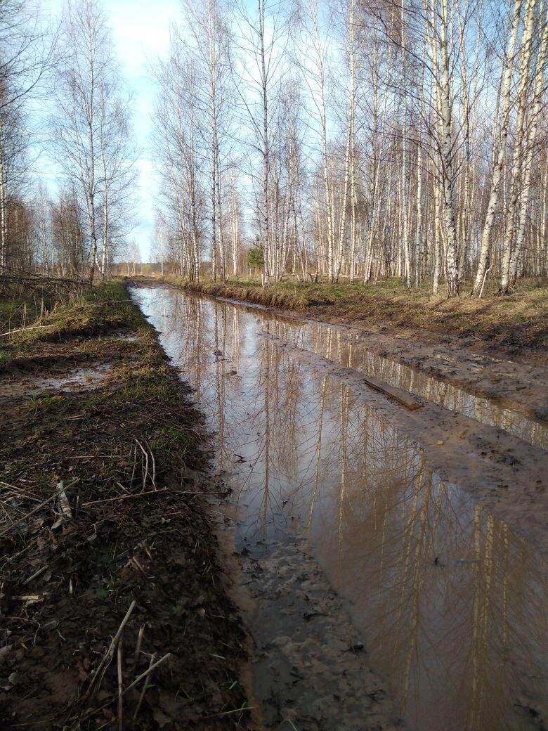 Дорога в деревне. фото автора