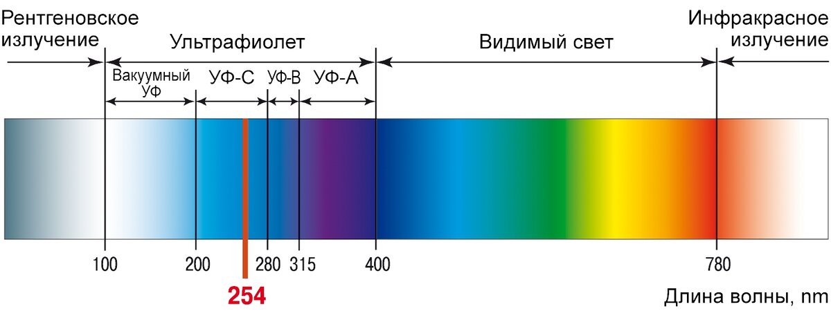 Спектр мощности изображения