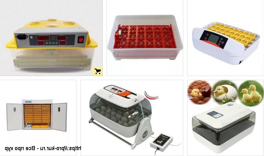 Домашние инкубаторы для яиц купить с доставкой