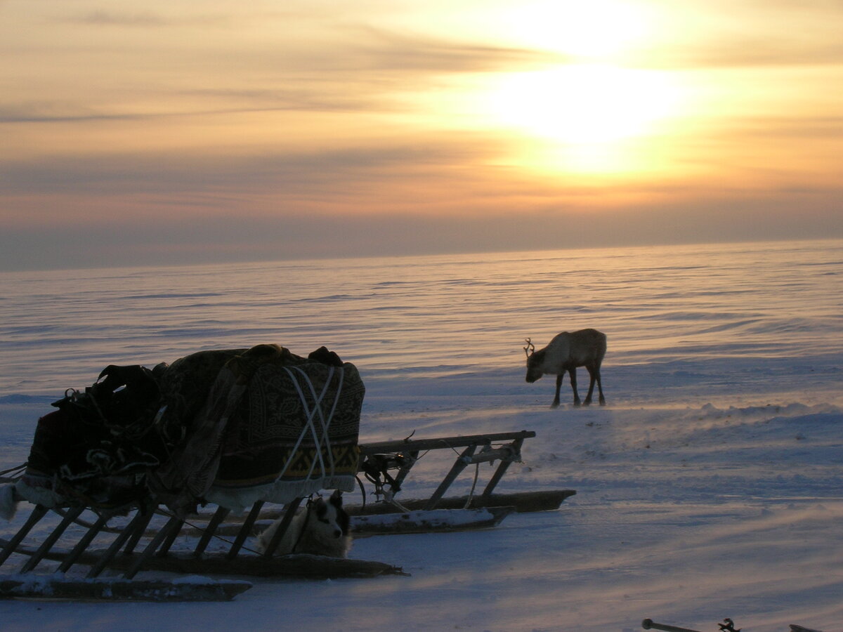 Полуостров Ямал. Фото Людмилы Липатовой