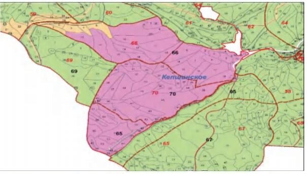 Карта сочинского национального парка подробная