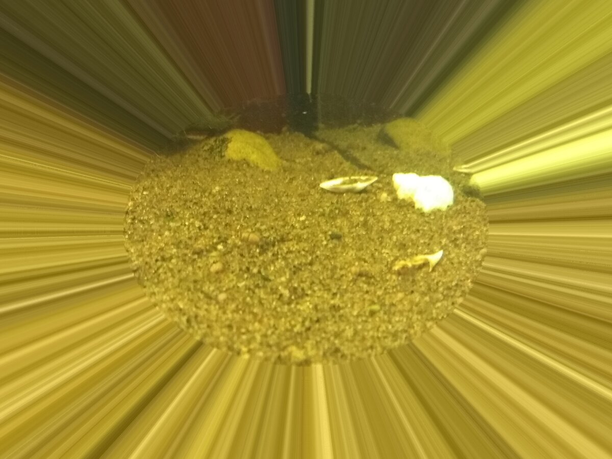 Грунт в аквариуме.