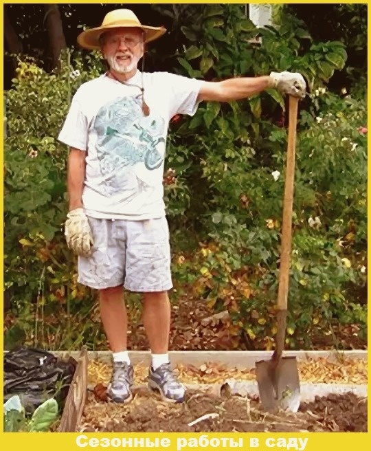 сад и огород, полезные советы, урожай, работы в саду