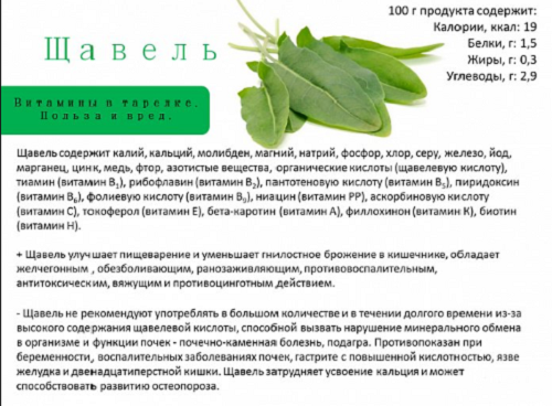 фото: https://topspiski.com