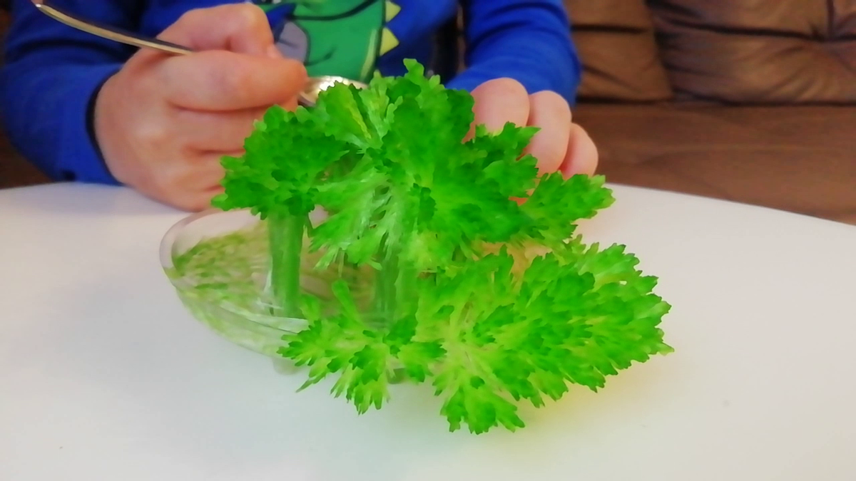 Все мы в детстве выращивали на ниточке кристаллики соли. А сейчас, благодаря  специальным наборам, можно вырастить вот такой кристалл.