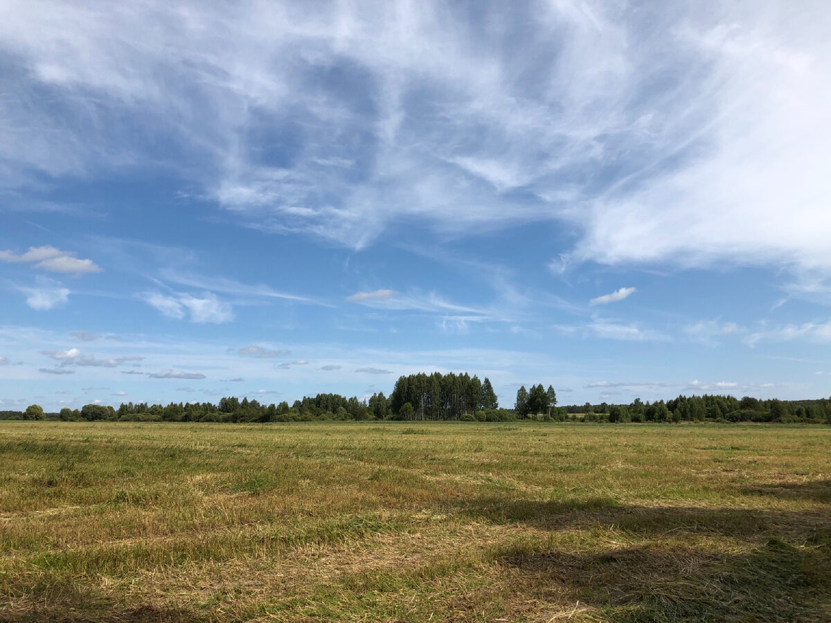 Вдалеке от населенки ощущается простор и  перспектива. Глаз не упирается