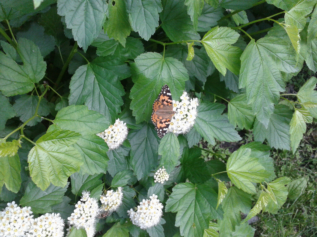 это фото в каком-то кучерявом году.