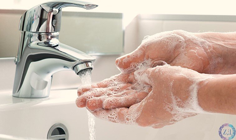 Фото с сервиса Яндекс.Картинки 