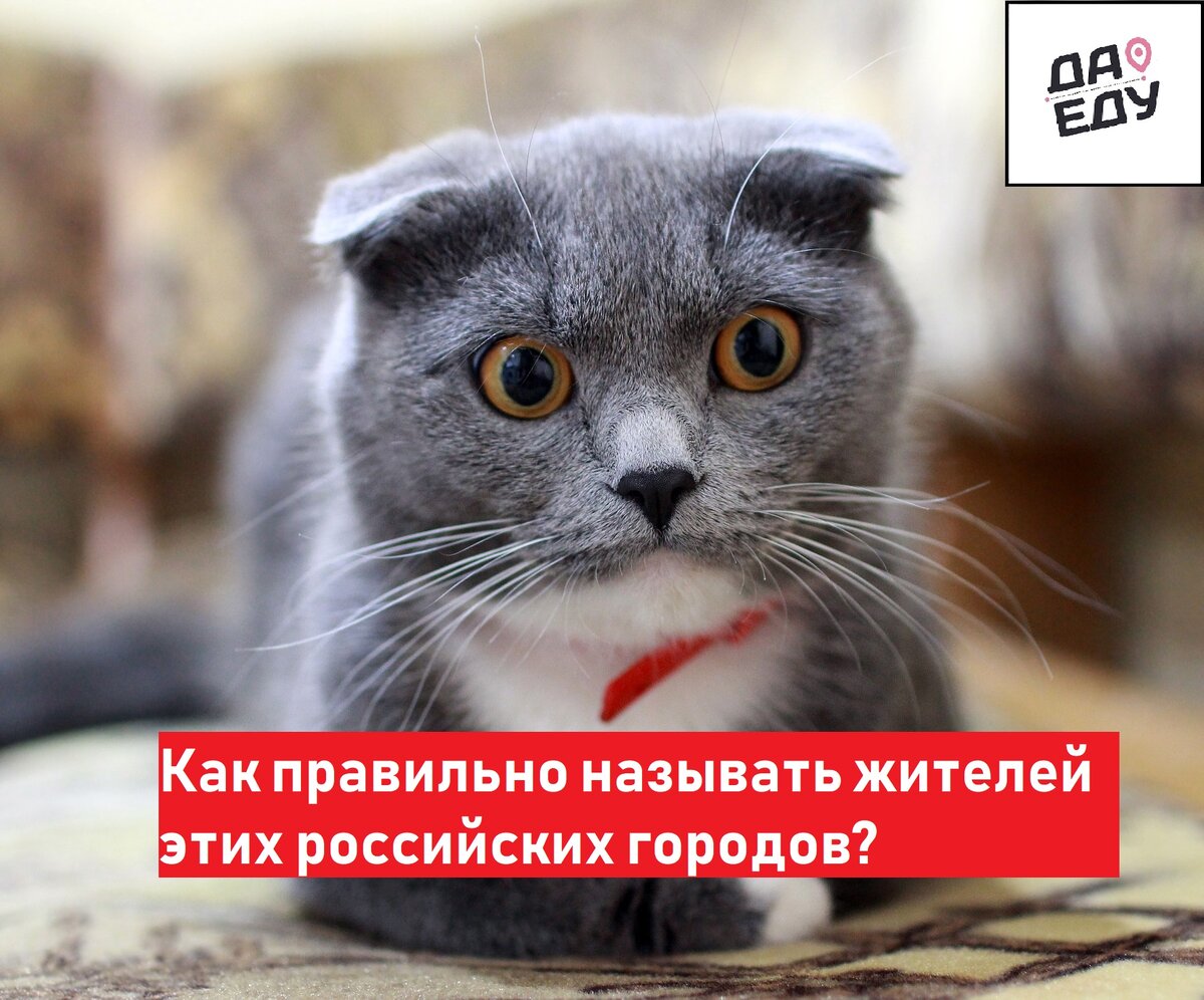 В России много городов с интересными названиями, не всегда знаешь как правильно называть их жителей.
