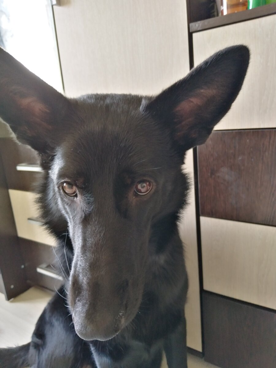 "Отстань от моих родинок"